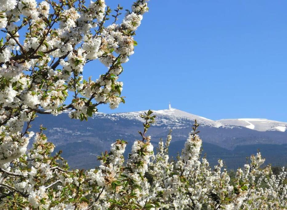 Les Tarraiettes Au Pied Du Luberon Villa Лурмарен Екстериор снимка